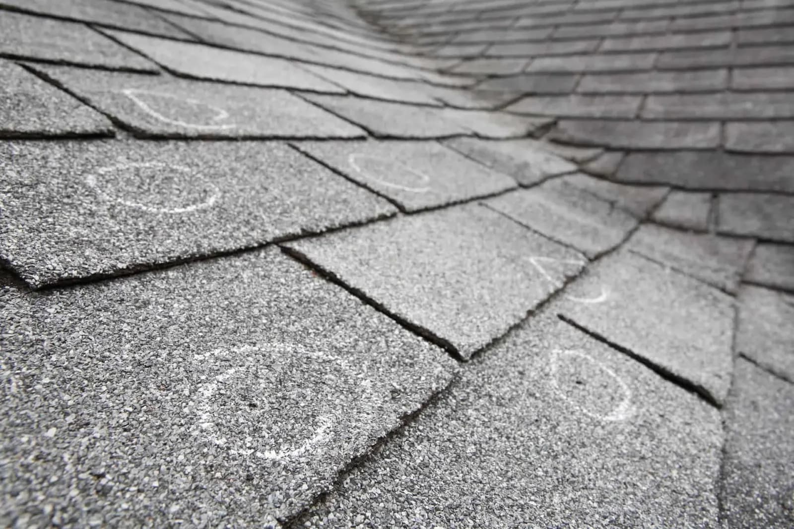 Hail impact marks circled in chalk on a shingle roof