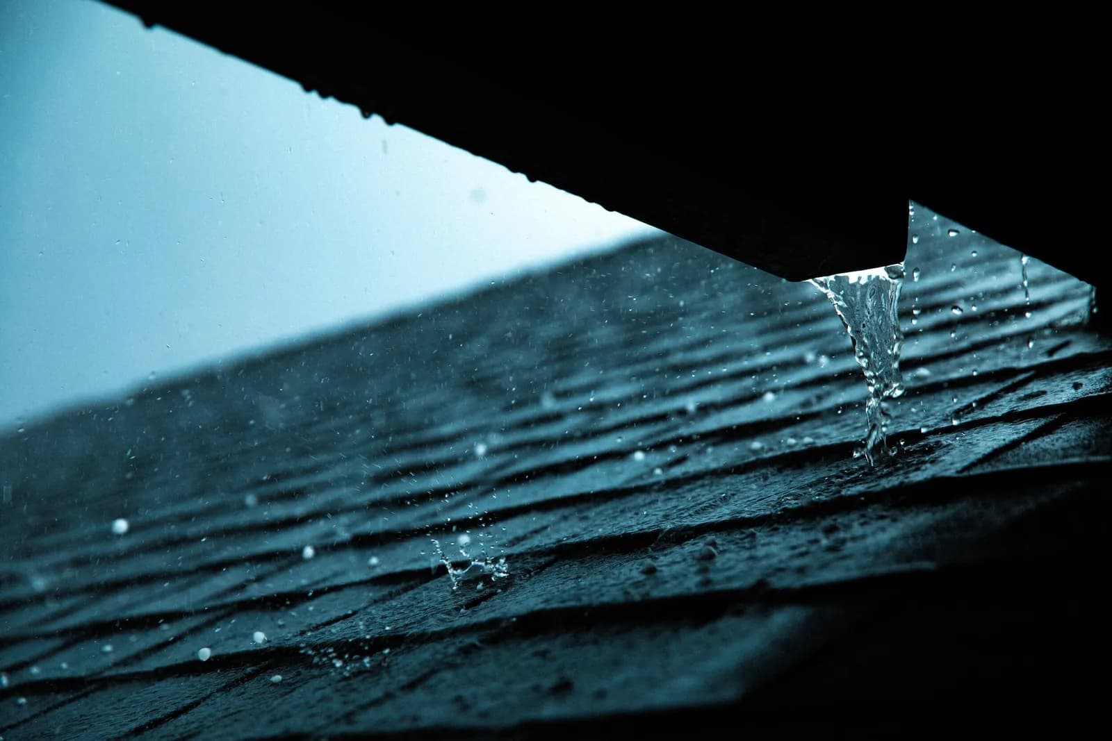 Rain beading on dark asphalt shingles